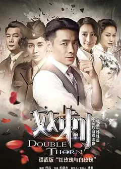 双刺DVD版