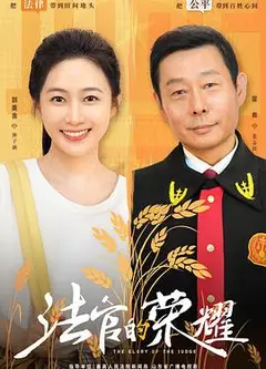 法官的荣耀