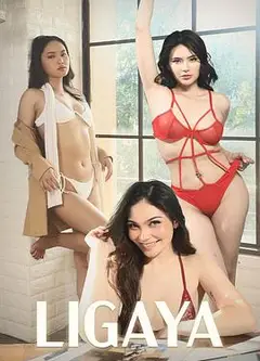 欢愉的代价