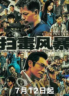 扫毒风暴剧版
