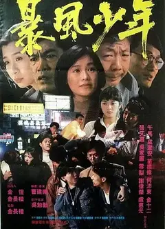 暴风少年