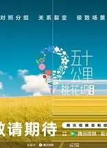 五十公里桃花坞 第五季